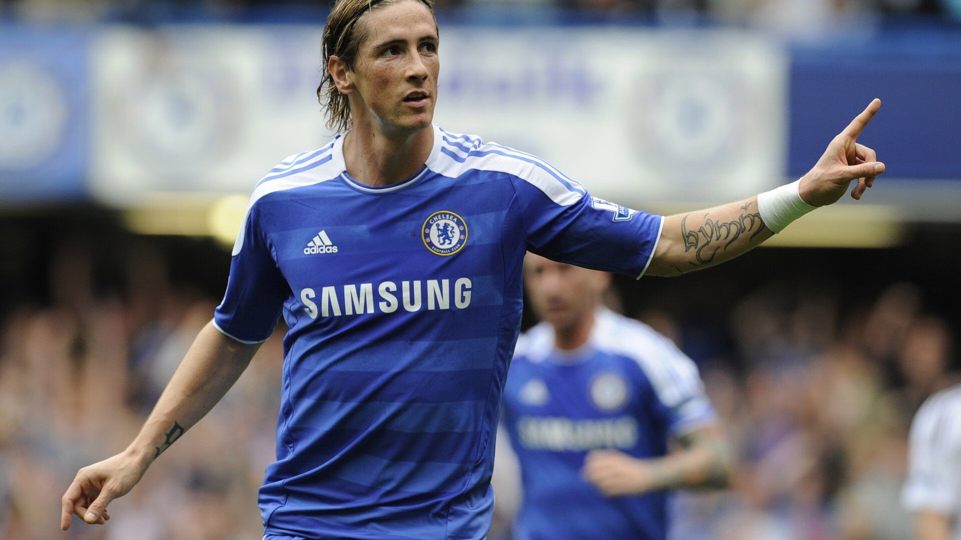 自由泳长距离澳洲选手表现稳定，澳大利亚男子自由泳